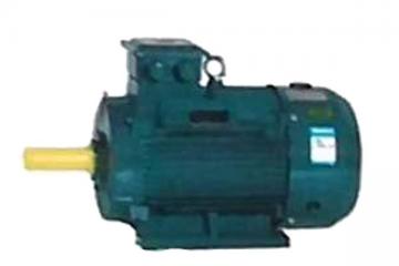 巨野電動(dòng)機(jī)維修